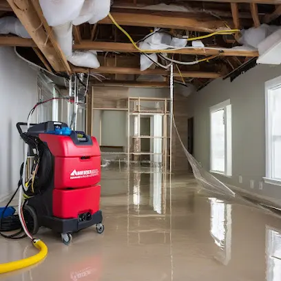 A portable extractor running in a commercial space