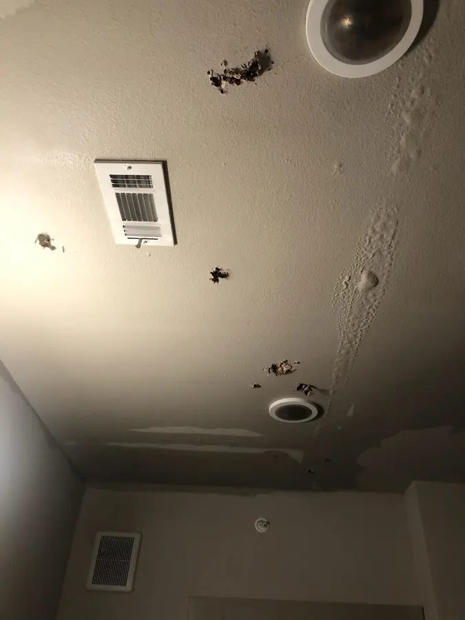 AC condensate overflow stain in a Bedford, TX home