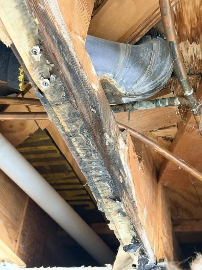 Roof and storm leak water damage in a Bedford, TX attic